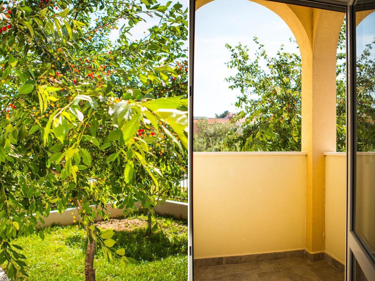 Olive Tree Apartments سبليت المظهر الخارجي الصورة